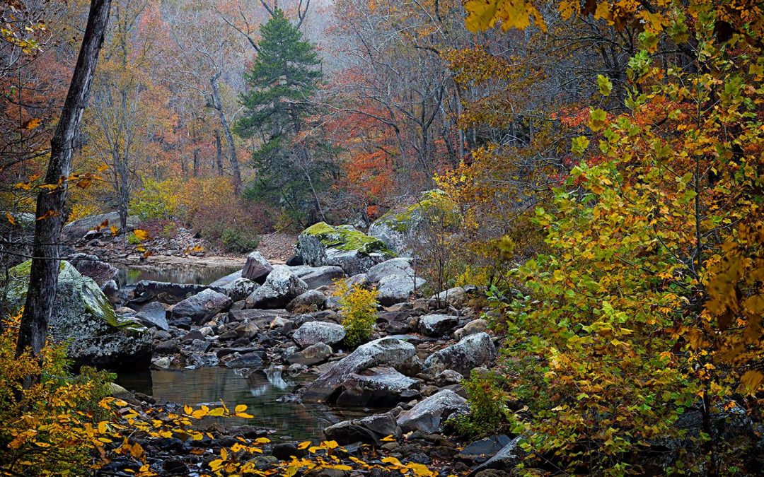 Fall Trends Worth Falling For